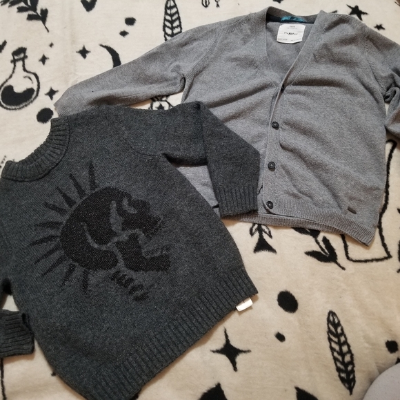 Zara Other - Boys Zara sweater lot